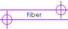 Fiber