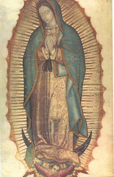 Behold, the prophecy is at hand - The head of the beast clothed like an angel with wings blue, white and red is wounded, by non other than the crescent moon. Yet it lives begging for mercy, grabbing himself from both heavenly and celestial tunics, for the Crescent Moon has stroke a mortal wound on its head. Her heel is hurt, yet the Beast is Defeated: the three, the false prophet, the antichrist and the DRAGON who deceived all the nations into battle against the Holy People of God, the Catholic Church. They all lost the battle against our Empress and defender. Indeed, she is the New Eve, the fulfillment of the prophecy, Mary, Sweet Mary, Virgencita de Guadalupe.